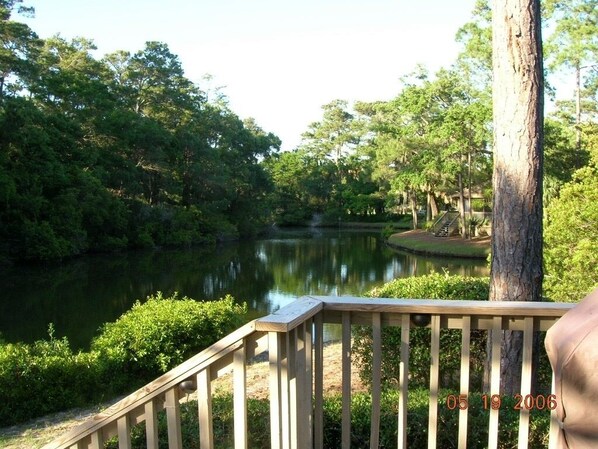 Peaceful view from private deck - great happy hour spot and bird watching 