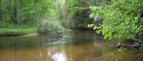 View of river