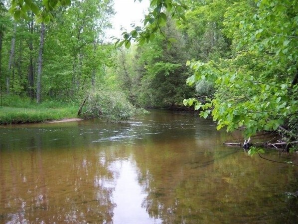 View of river