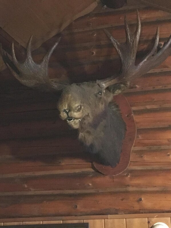 Detalj interiör