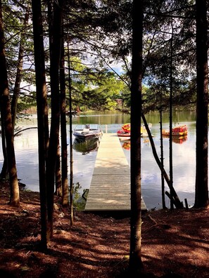 Dock view from the woods- summer 2020. 