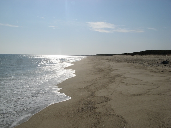 Tom Nevers beach