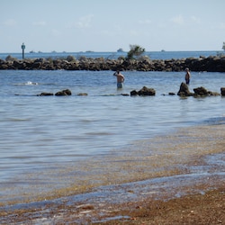 The beach has no waves, and is good for wading.