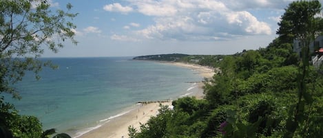 Lush landscape,  delightfully verdant sand, sea, and sky.