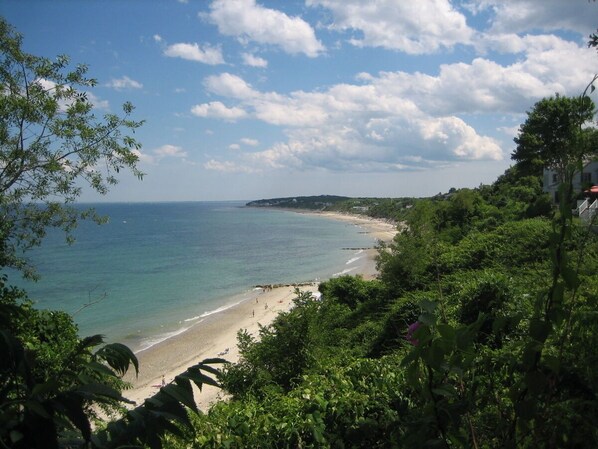 Lush landscape,  delightfully verdant sand, sea, and sky.