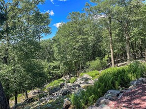 Home overlooks field of boulders, fern, and wildflowers during summer months