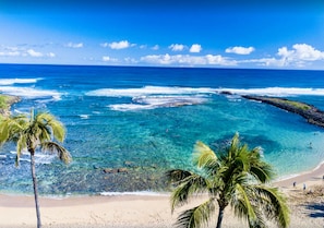Turtle Bay Swimming Cove