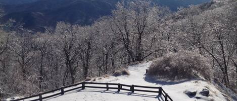 Gorgeous mountain views, huge backyard for sledding and pets/kids!