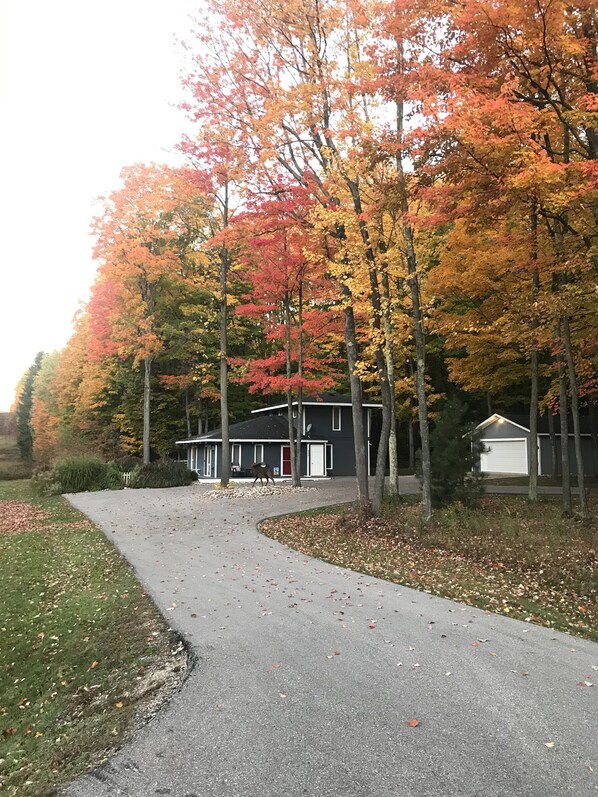 Ulkopuoli
