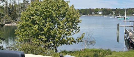 View from front deck