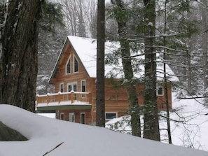 Hemlocks and spuce in the foreground.