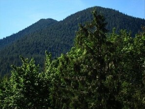 Great view of Hunchback Mtn. from living room of cabin