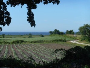 Back yard view to the ocean (south)