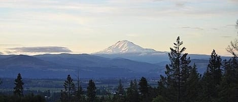 View from The deck