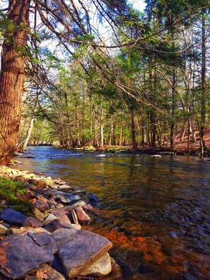 The mountain creek at your feet. 
Unplug. Just be. Listen. Observe. Reconnect.
