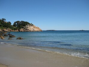 Singing Beach