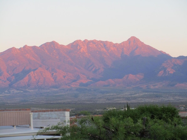 View from back patio!