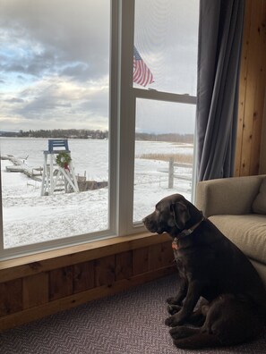 Amazing view of frozen Lake Champlain...and plenty warm inside. 