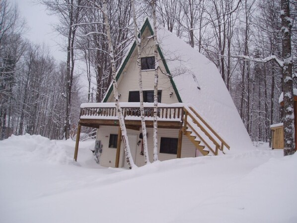 Fresh Snow December 2007