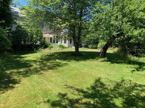 The heirloom apple trees are well over 100 years old
