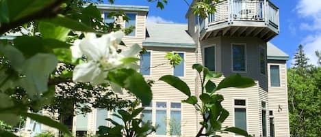 Front of the house faces the orchard.