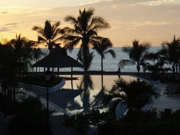 Pool with Swim up Palapa Bar