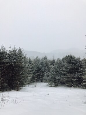 White Mountain View