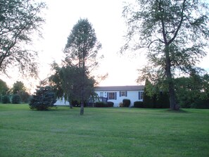 Nice spacious yard