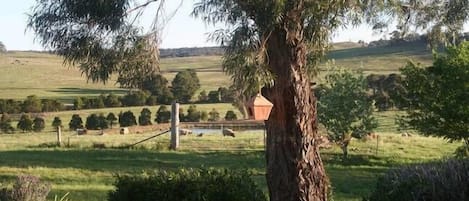 Terrain de l’hébergement 