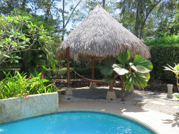 A brand new palapa has been erected with a hammock.