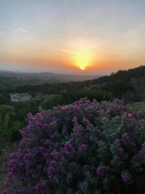sunrise from front porch