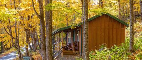 With all the maples around the cabin, fall is always gorgeous.