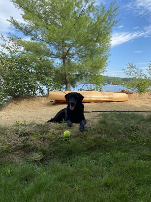 Boendeområde