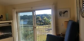 Beautiful view from living room