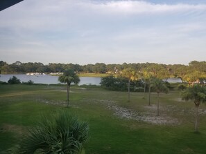 Backyard view from living room!