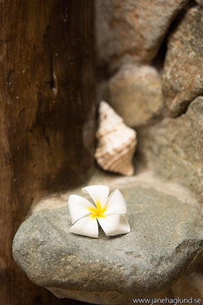 Outdoor rock shower