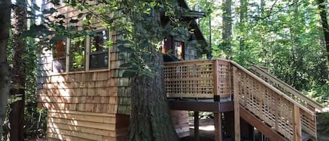 The tiny cabin - enjoy your privacy in this secluded treed setting.