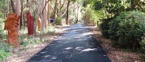 Amberlyn Driveway