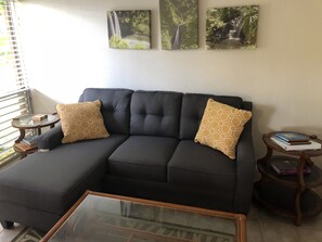 New couch 