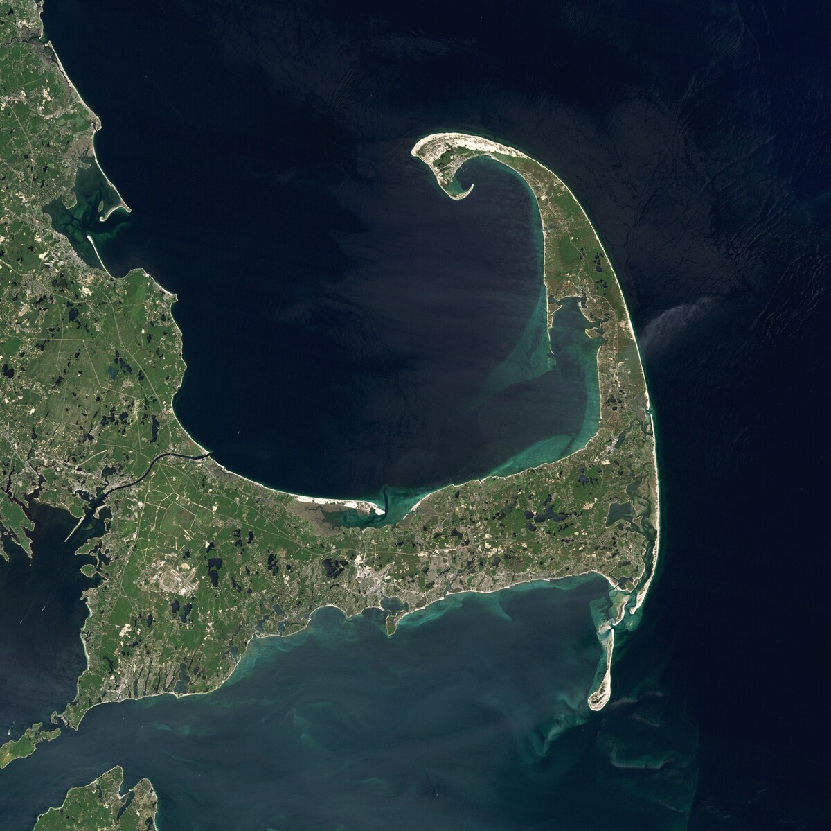 Main Image