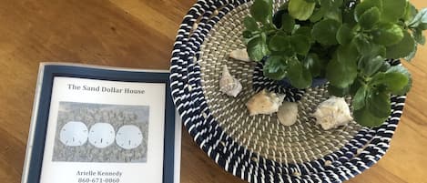 The Sand dollar House