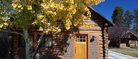 Fall. A good time to visit West Yellowstone and the park.