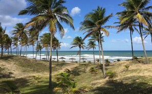 apenas 70 passos para a praia