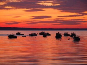 An August sunset photo of the cove. Zoomed in and shot from the front deck.