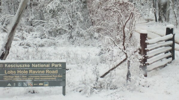 Winter wonderland