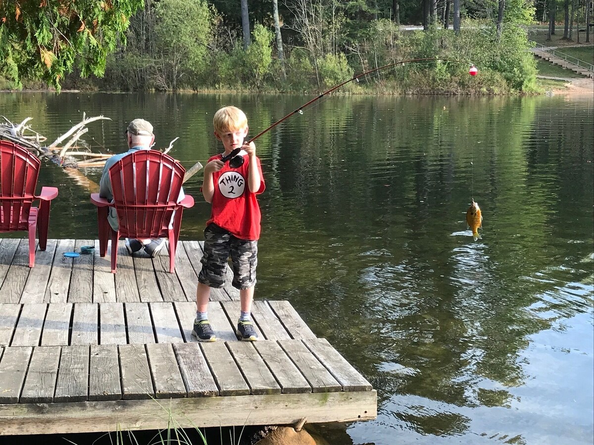 Traverse City area Lakefront Log Home, FREE Hot Tub, WIFI, & Boats.