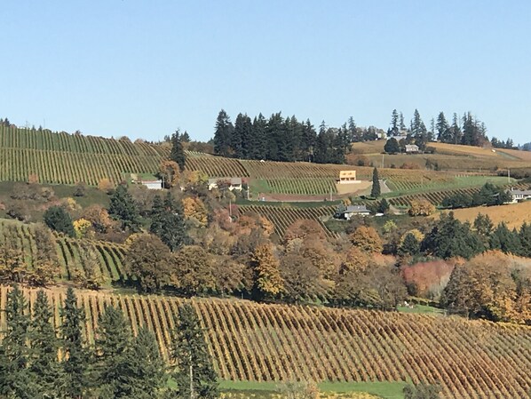Fall colors