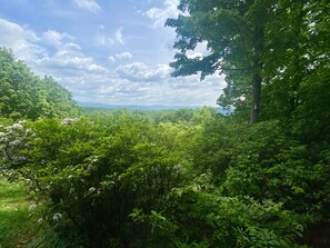 back porch view 