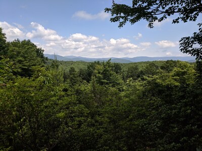 Log cabin with amazing views!! (Pets welcome!)