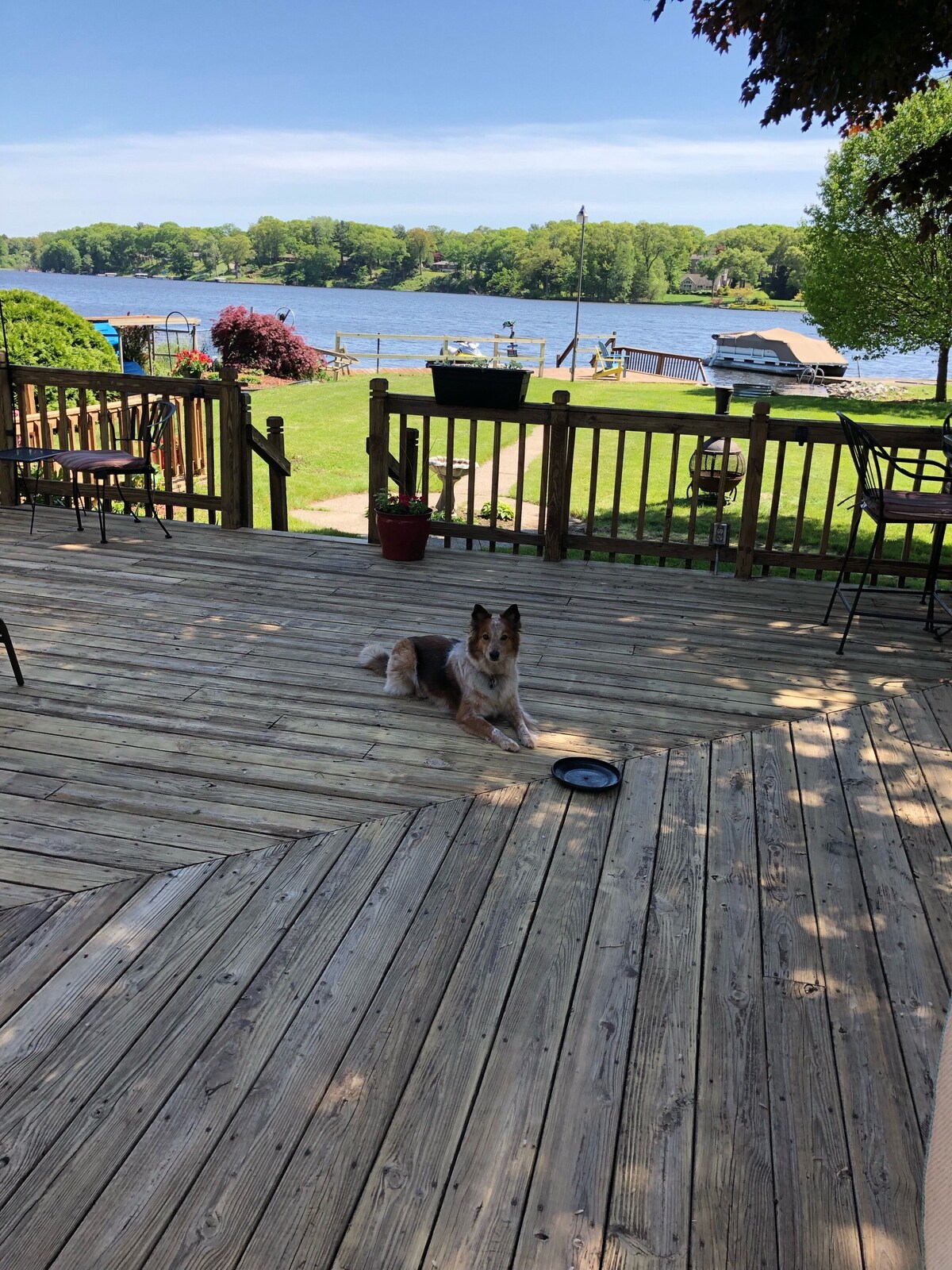 Pet Friendly Lakefront Beach Cottage